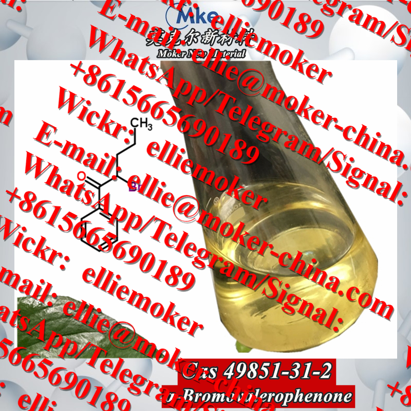 49851-31-2......_副本 - 副本